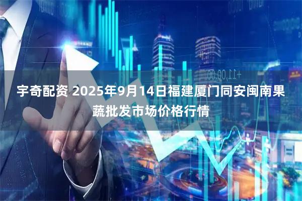 宇奇配资 2025年9月14日福建厦门同安闽南果蔬批发市场价格行情