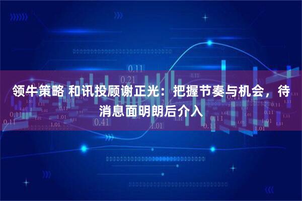 领牛策略 和讯投顾谢正光：把握节奏与机会，待消息面明朗后介入