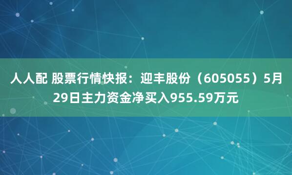 人人配 股票行情快报：迎丰股份（605055）5月29日主力资金净买入955.59万元