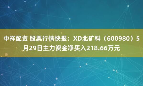 中祥配资 股票行情快报：XD北矿科（600980）5月29日主力资金净买入218.66万元